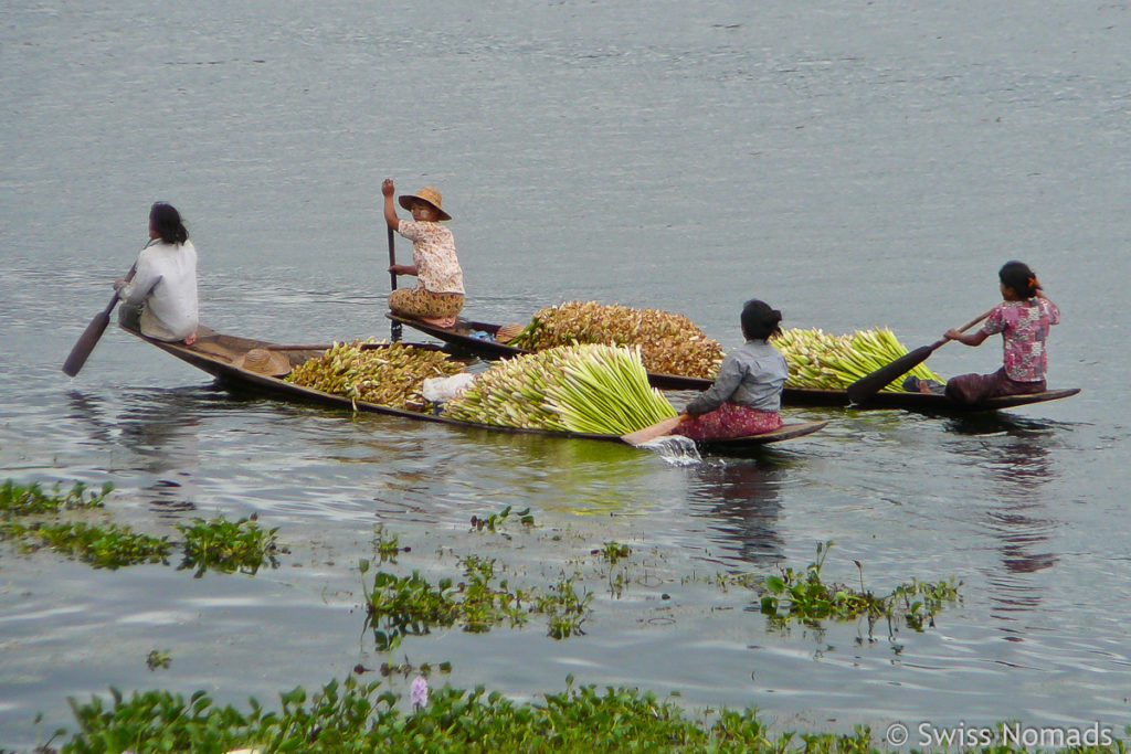 Gemüse Transport auf dem Inle-See