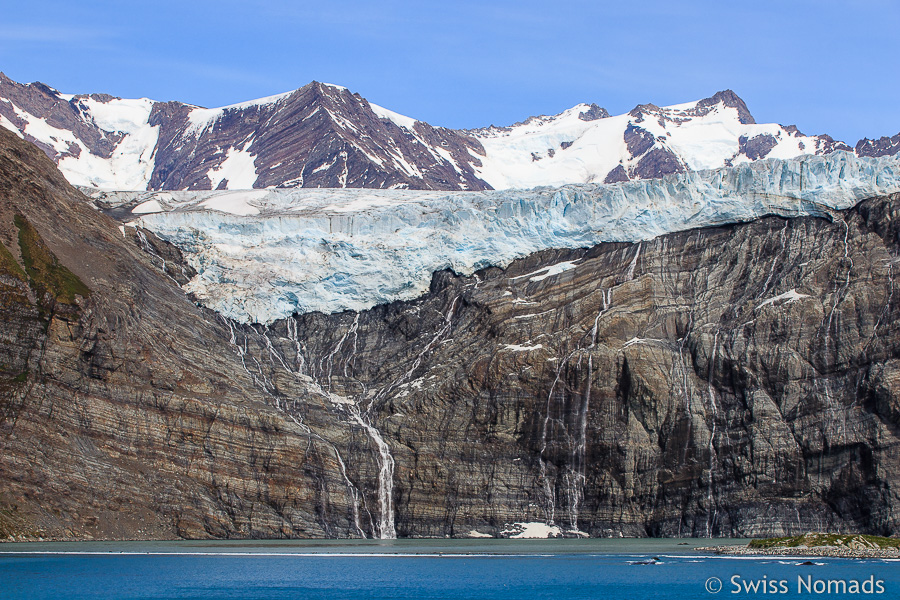 Gletscher Gold Harbour