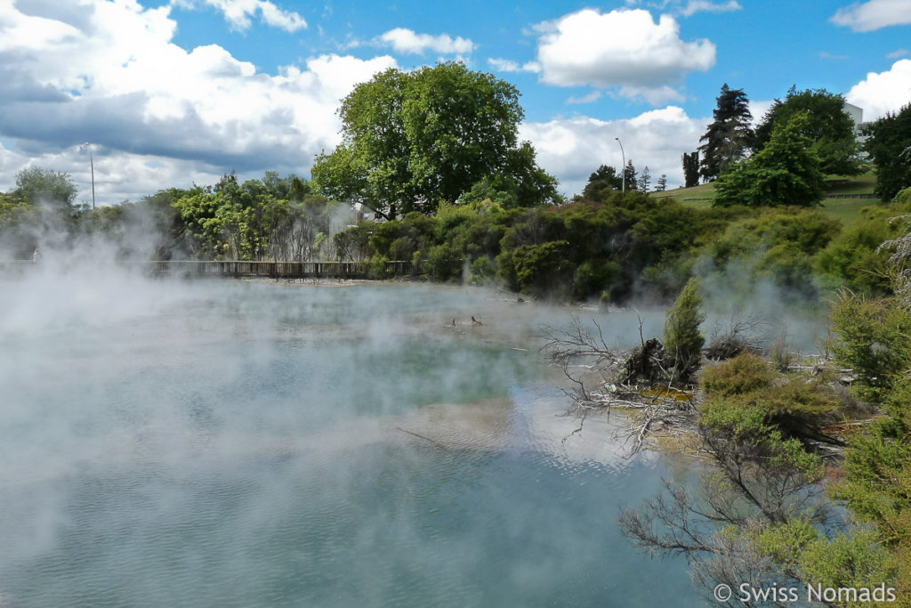 Kuirau Park in Rotorua