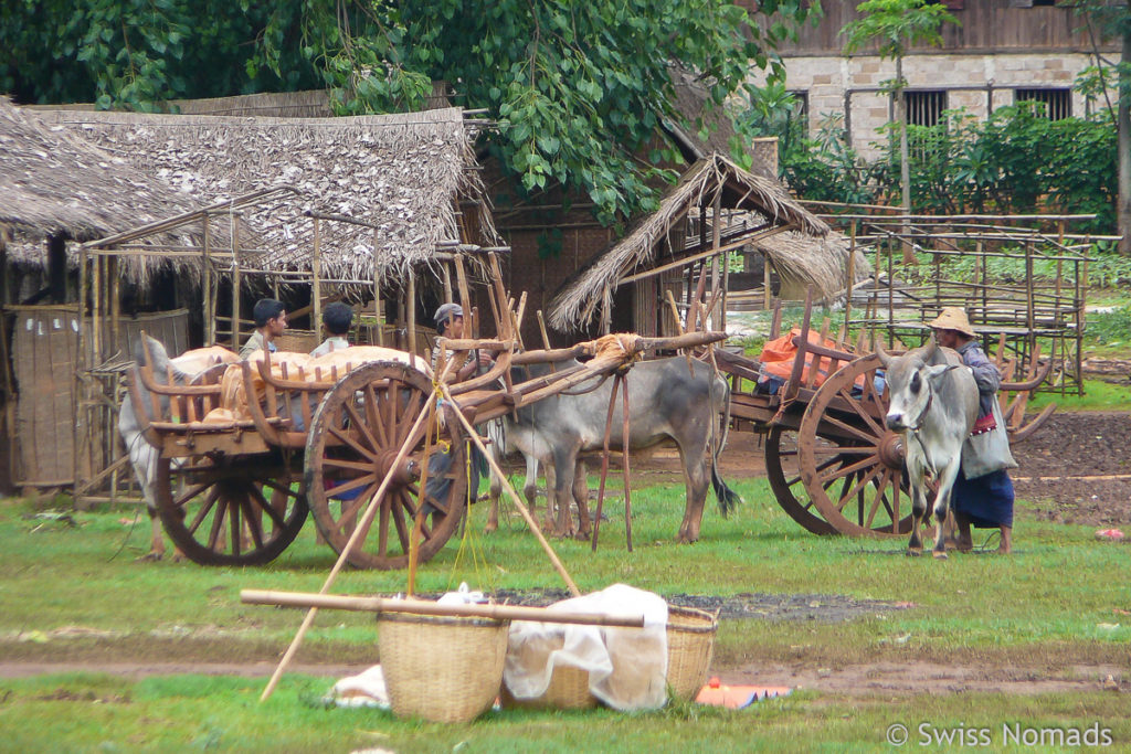 Ochsenkarren vor dem Markt in In-Dein, Burma