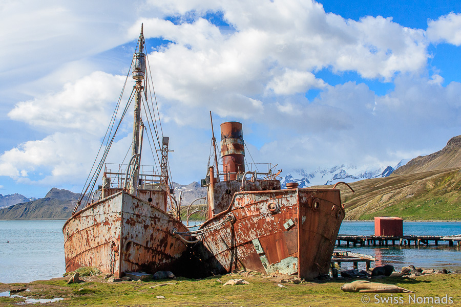 Wracks in Grytviken