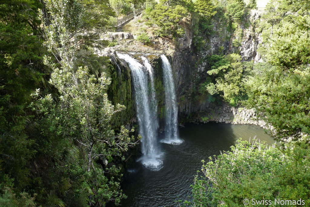 Whangarei Falls auf Neuseelands Nordinsel