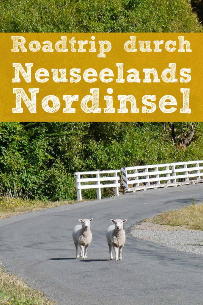 Roadtrip Neuseeland Nordinsel Pinterest