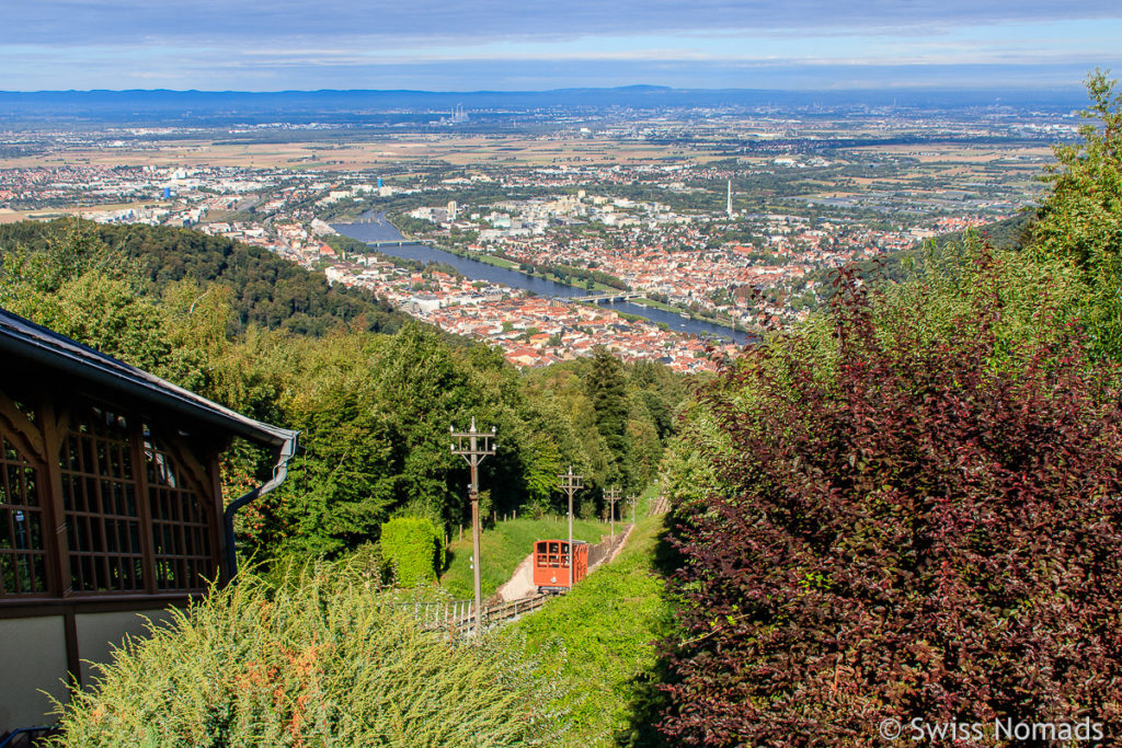 Aussicht auf Heidelberg vom Königstuhl