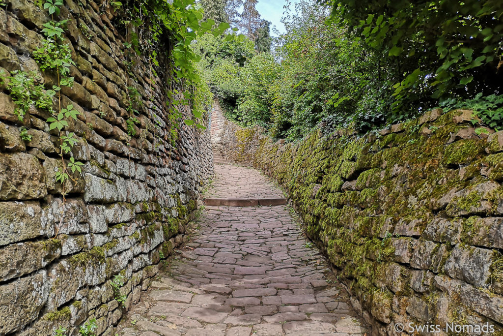 Schlangenweg in Heidelberg