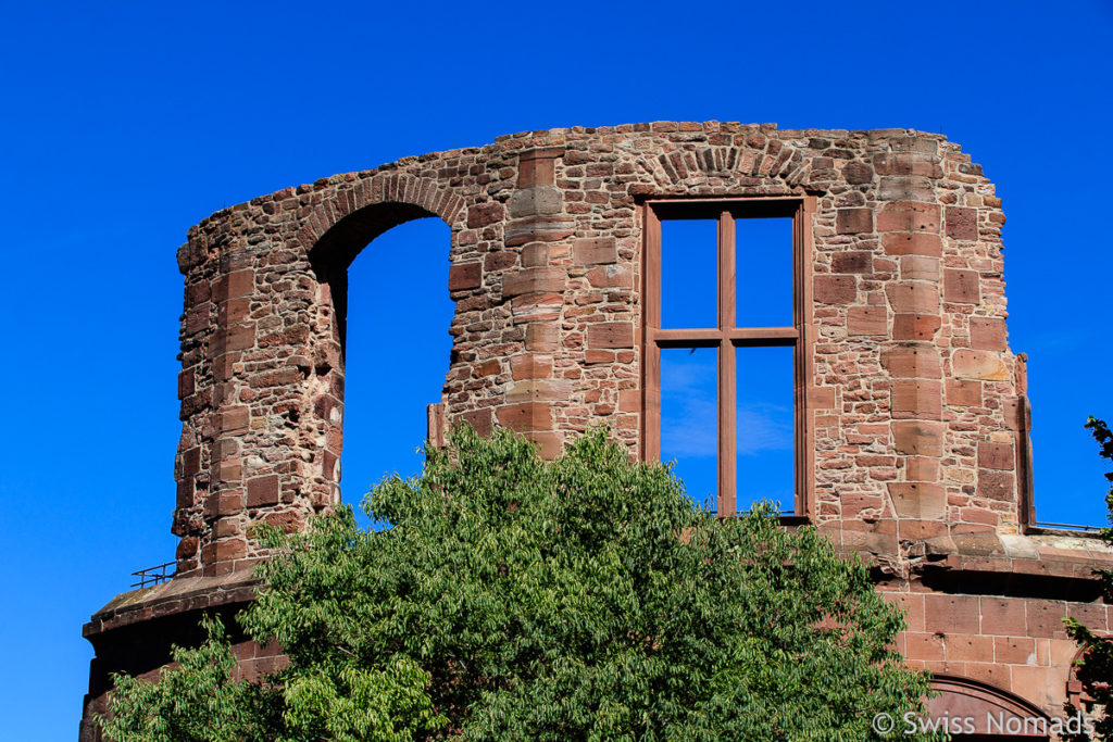 Schlossruine Heidelberg