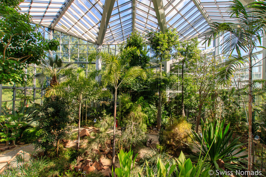 Gewächshaus im Palmengarten in Frankfurt