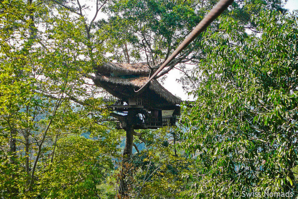 Gibbon Experience mit Zipline zum Baumhaus