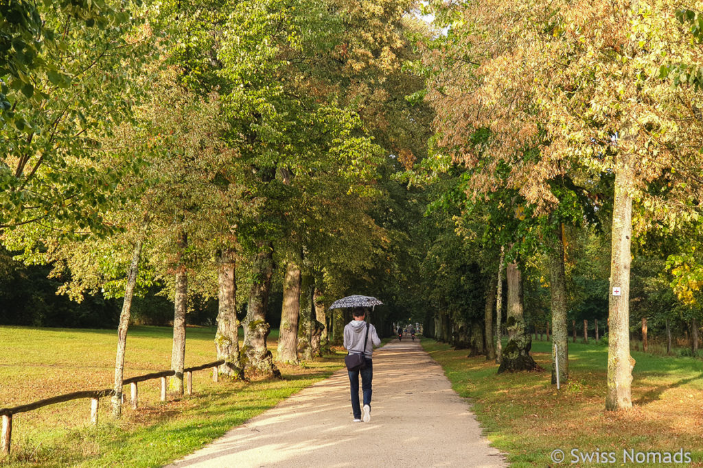 Kleine Schönbuschallee in Aschaffenburg