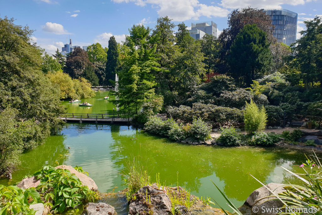 Palmengarten in Frankfurt Sehenswürdigkeiten