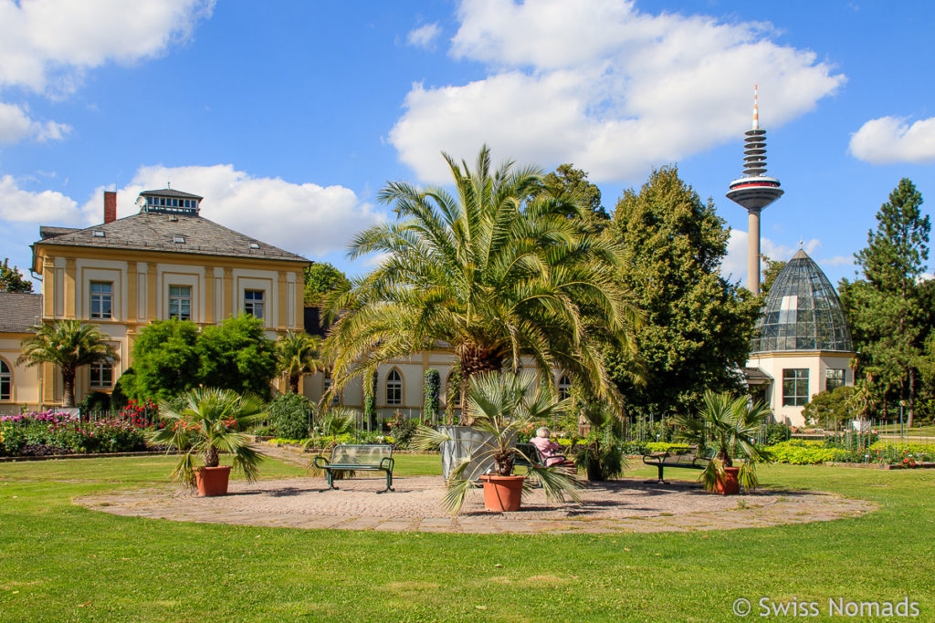 Palmengarten in Frankfurt