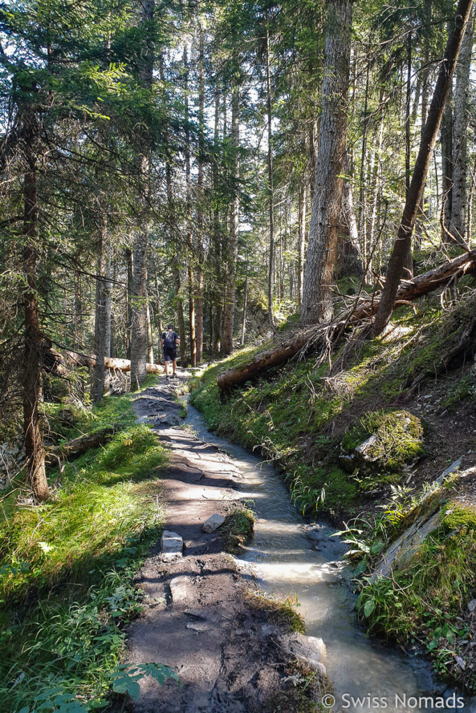 Wanderweg im Flimserwald