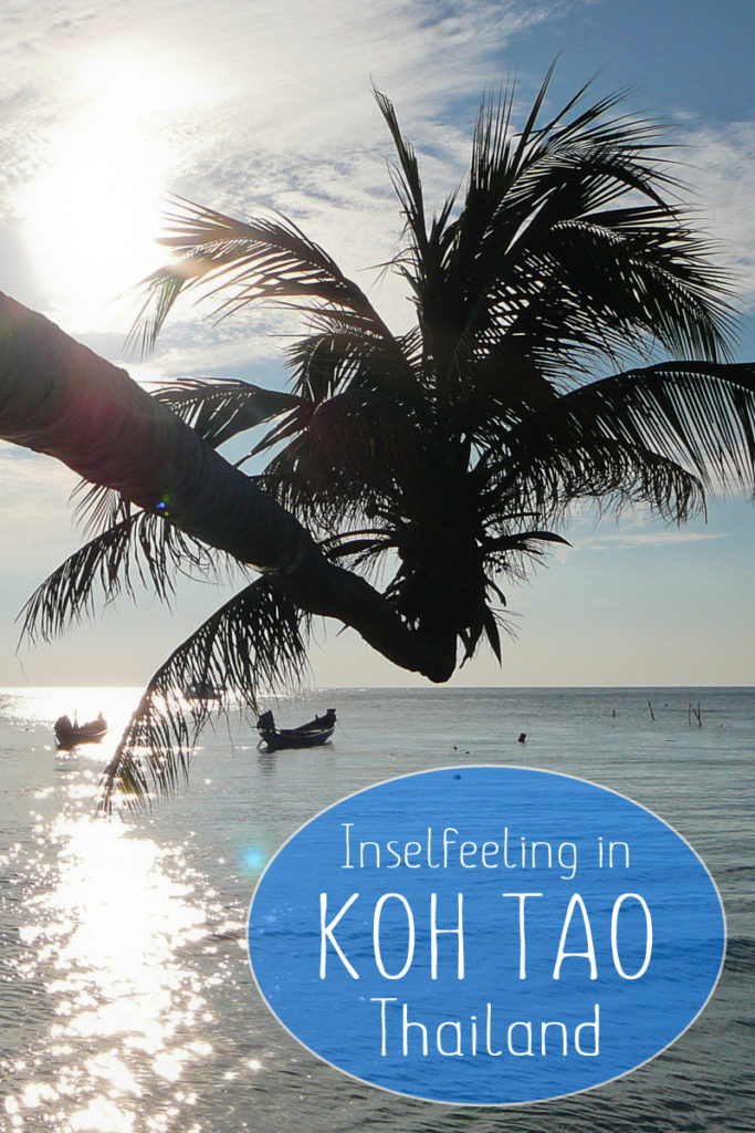 Koh Tao Thailand Pinterest