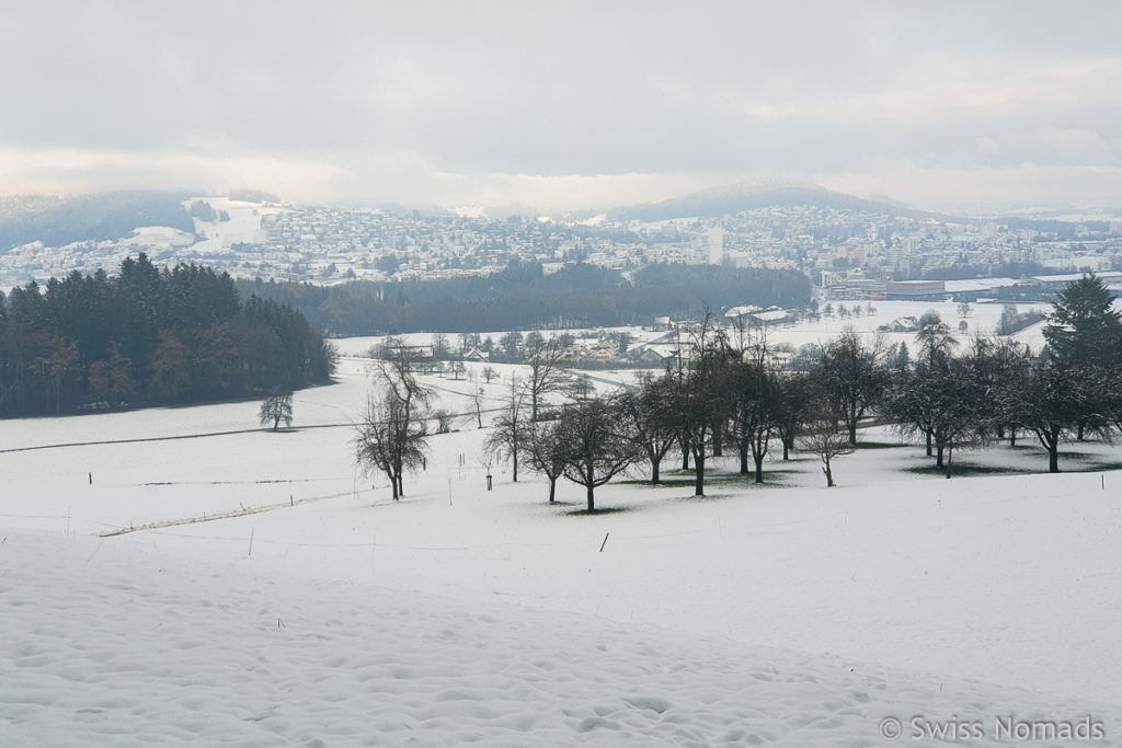 Aussicht auf Wil und Busswil