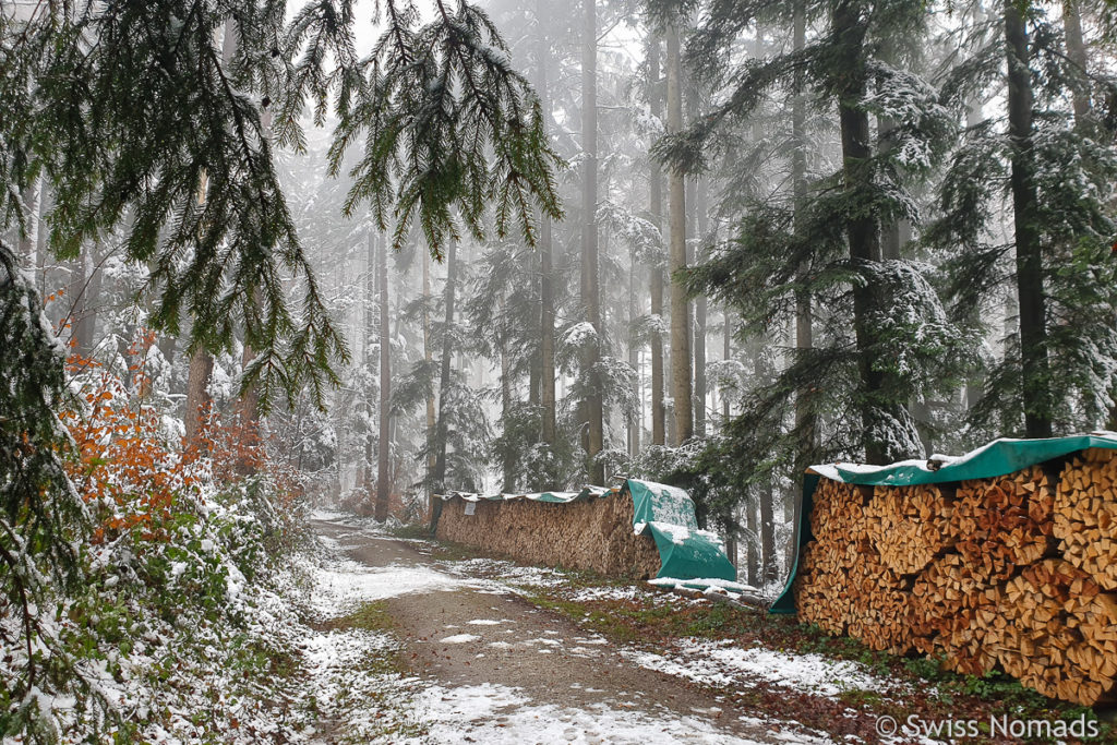 Feuerholz im Wald