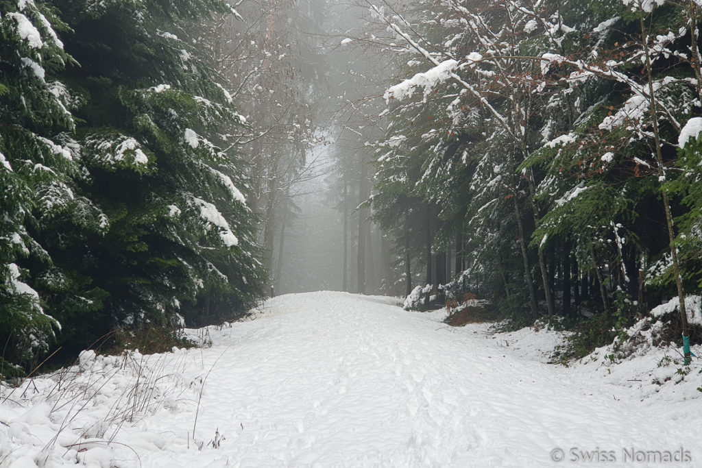 Weg zur Grillstelle Weid im Sirnacher Wald 