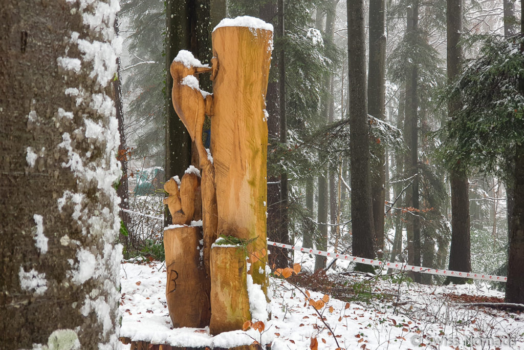 Specht aus Holz im Wald