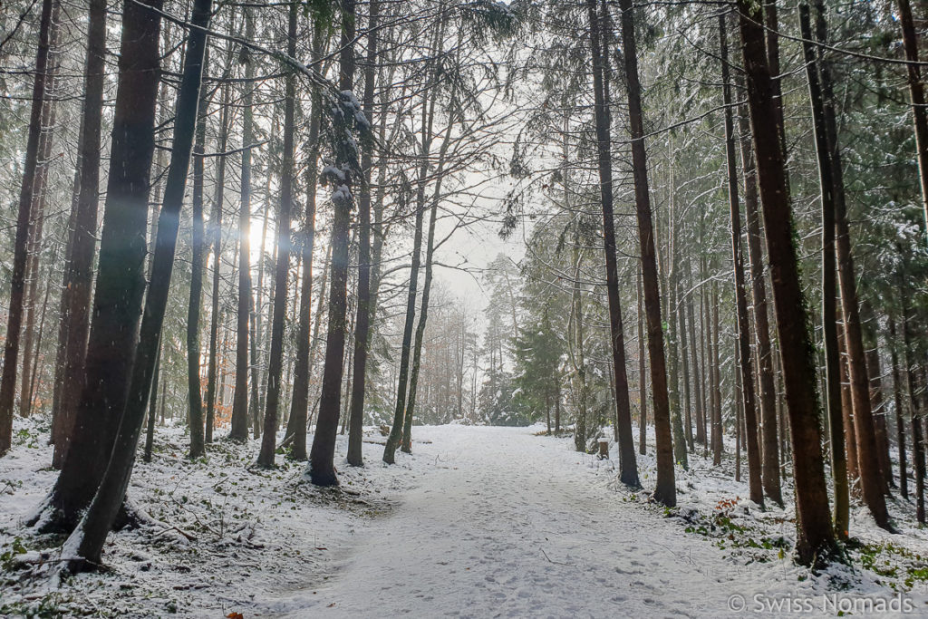 Sirnacher Wald 