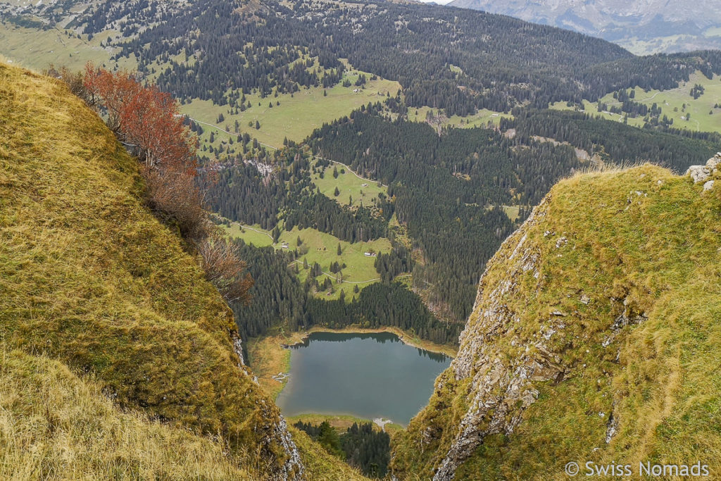 Aussicht vom Schlösslichopf auf Voralpsee