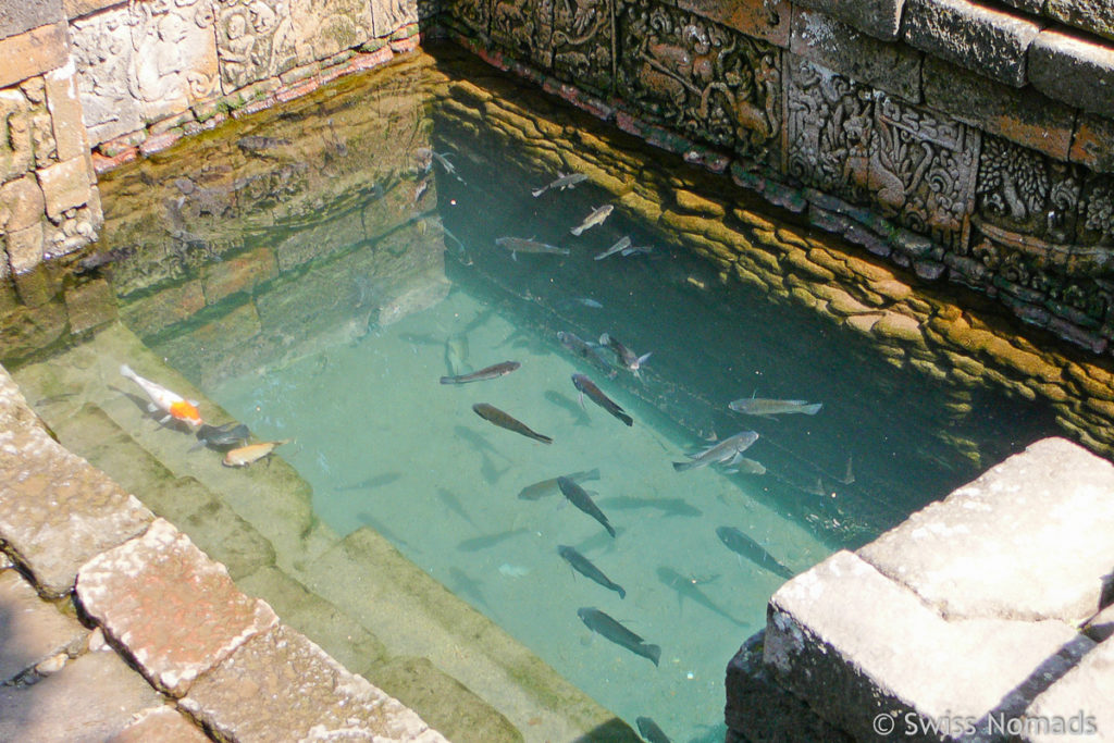 Pool am Candi Penataran bei Blitar in Ost-Java