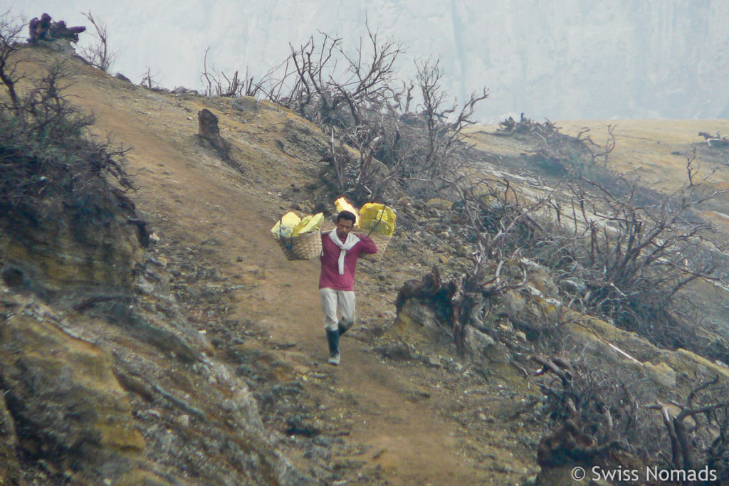 Schwefel Träger am Kraterrand des Ijen Vulkan