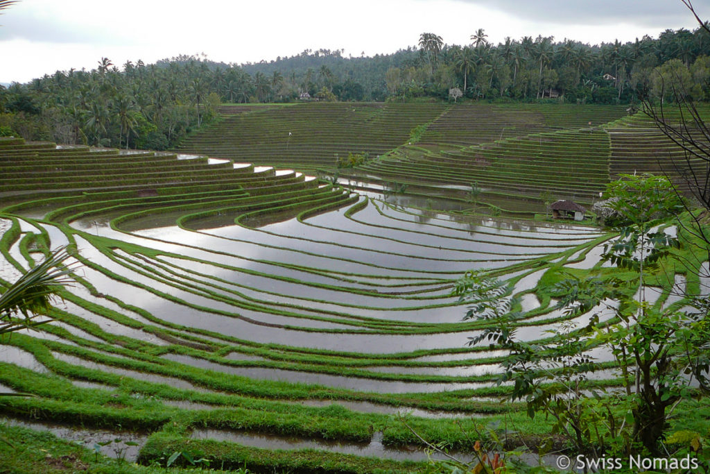 Belimbing Reisterrassen Bali