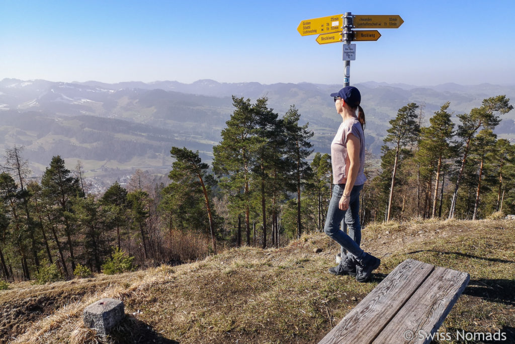 Aussicht von der Burgruine Neutoggenburg