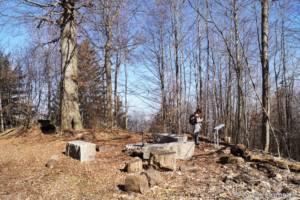 Grillstelle im Toggenburger Wald