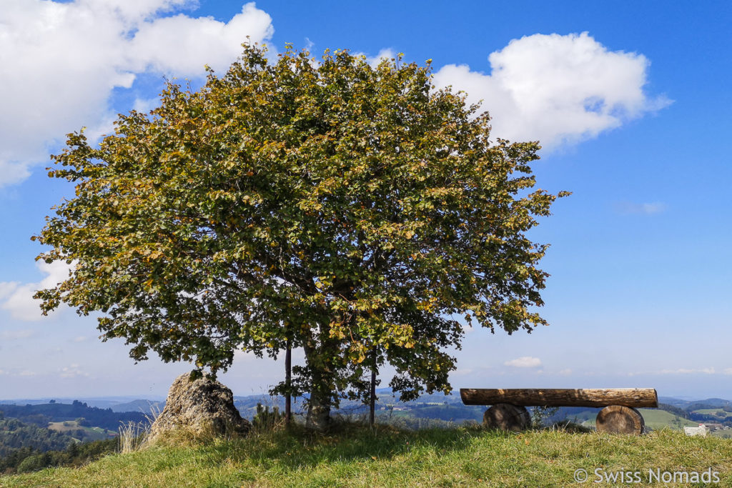 Hoger bei Allenwinden