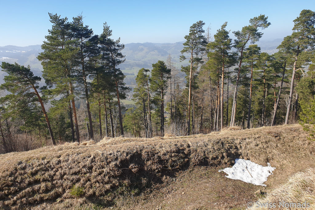 Mauern der Ruine Neutoggenburg