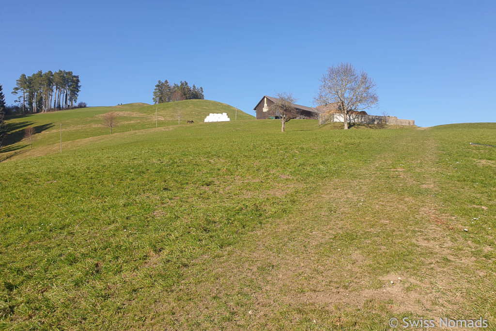 Nutzenhalden im Toggenburg