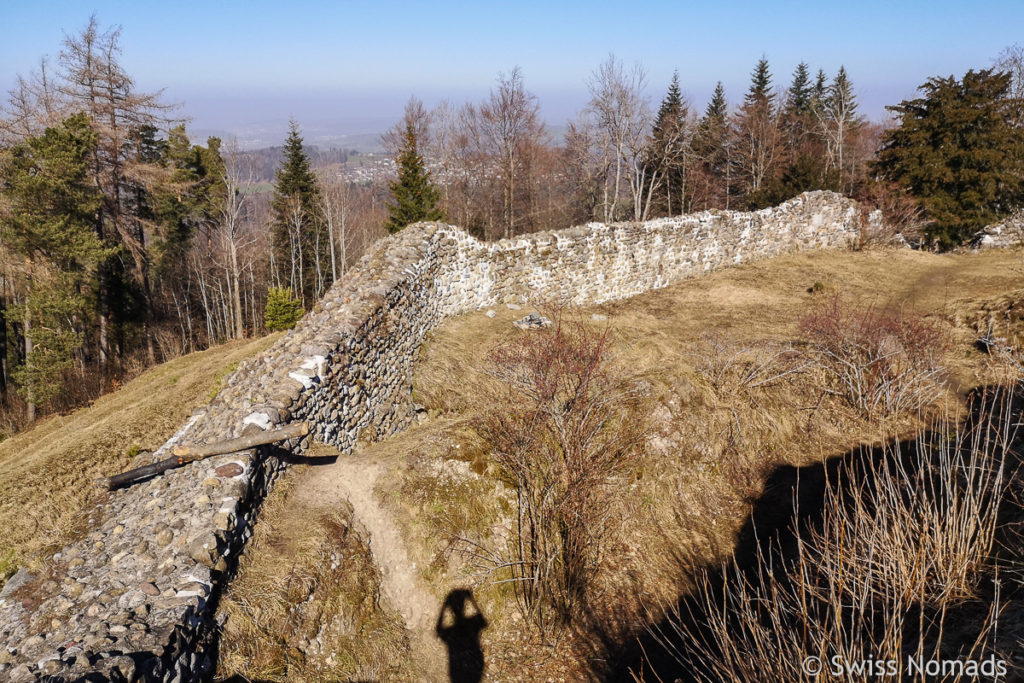 Mauerreste der Ruine Neutoggenburg