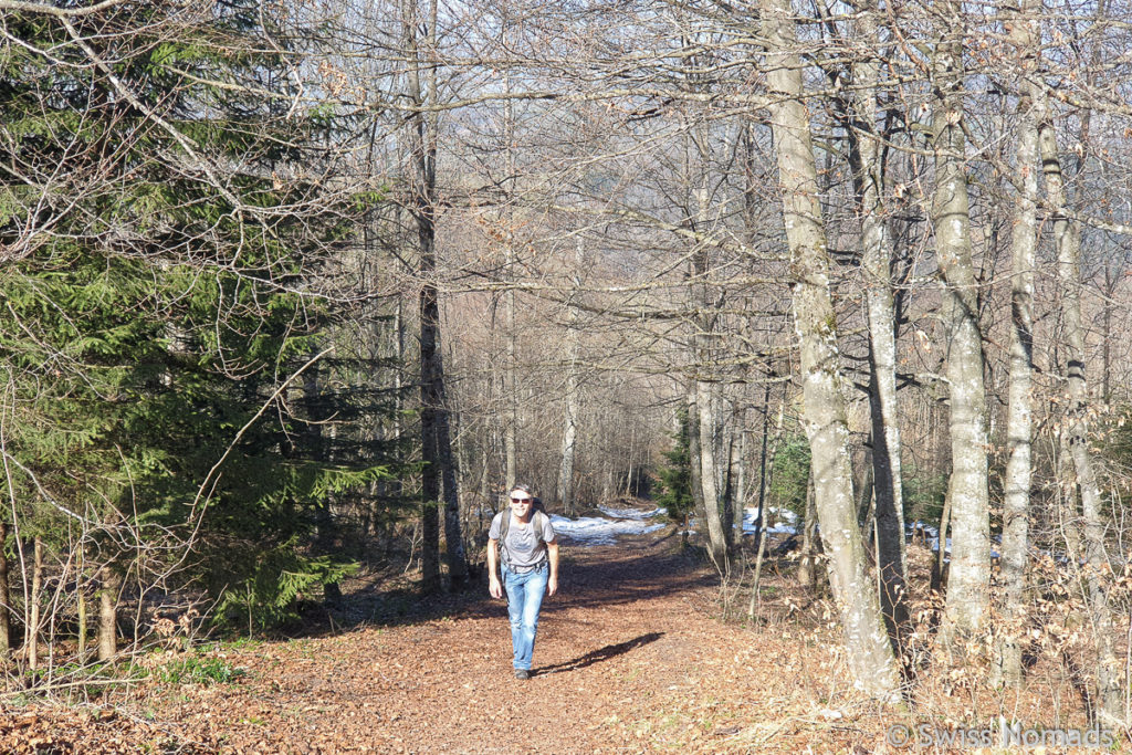 Wanderweg zur Ruine Neutoggenburg