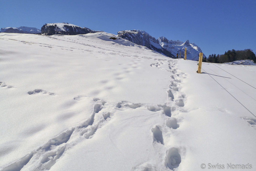 Alpstein Wanderung im Winter