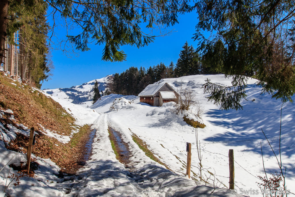 Wanderung von Weissbad zum Leuenfall