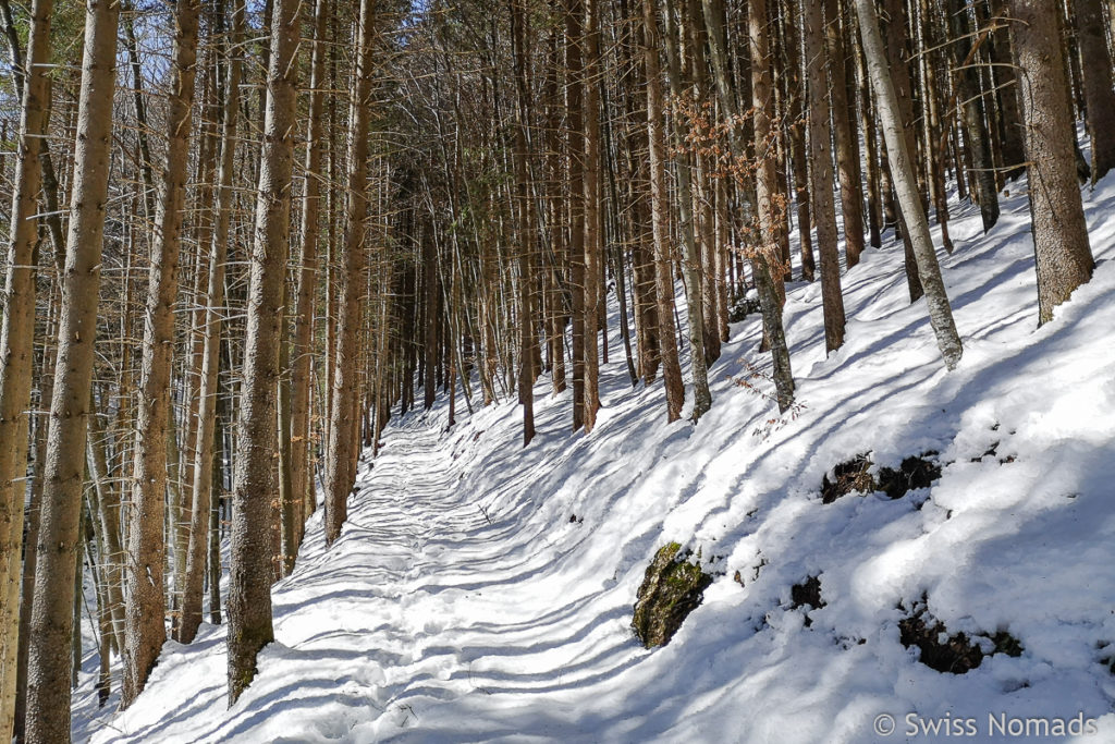 Weissbad Wanderung zum Leuenfall