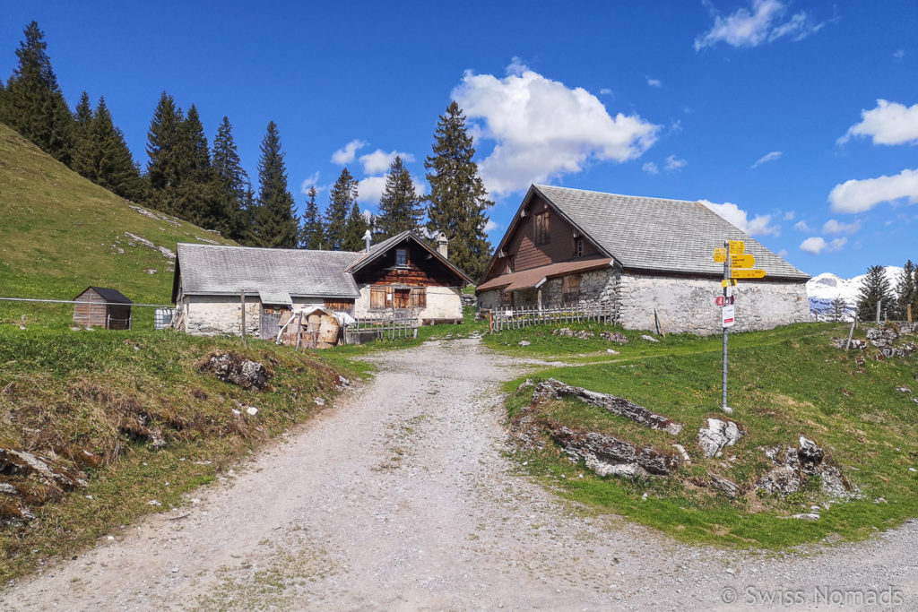 Ölberg auf dem Rheintaler Höhenweg