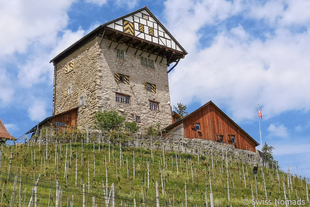 Schloss Neu-Altstätten am Rheinhaler Höhenweg