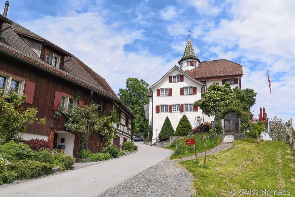 Schloss Weinstein in Marbach