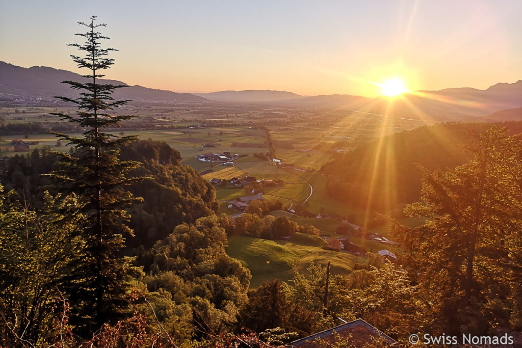 Sonnenaufgang im Kobelwald in Oberriet