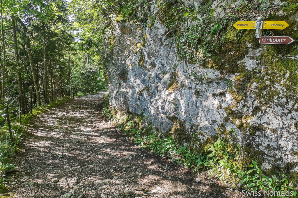 Wanderweg auf dem Rheintaler Höhenweg