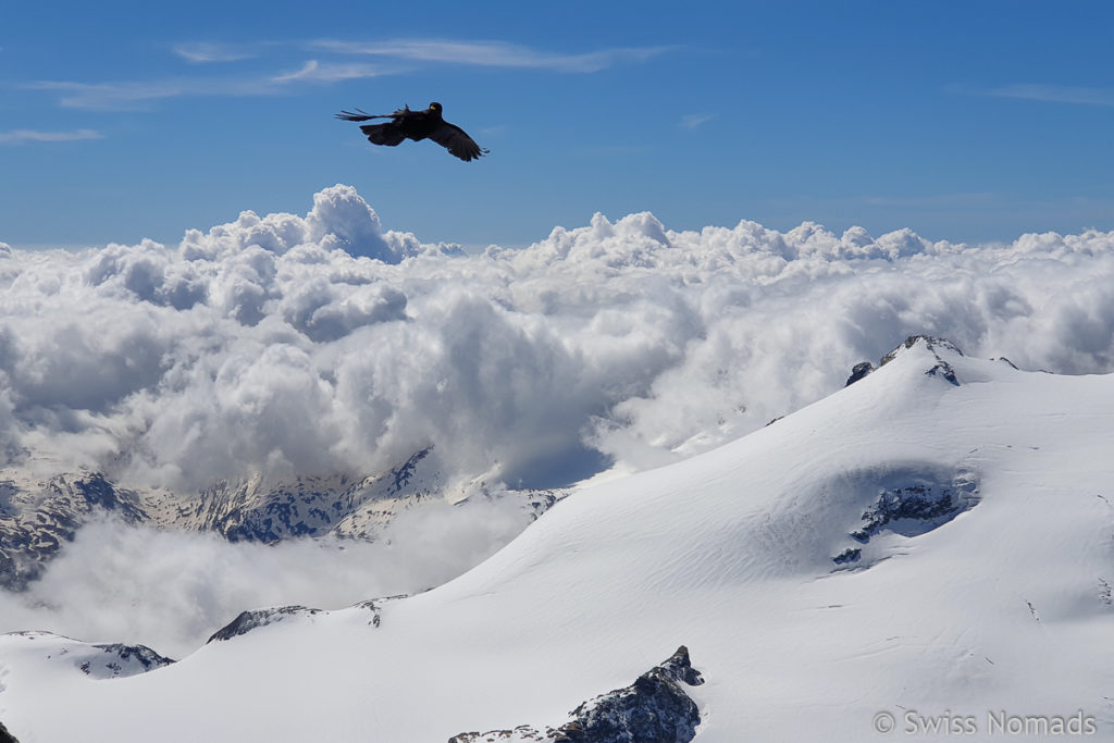 Allalinhorn Aussicht