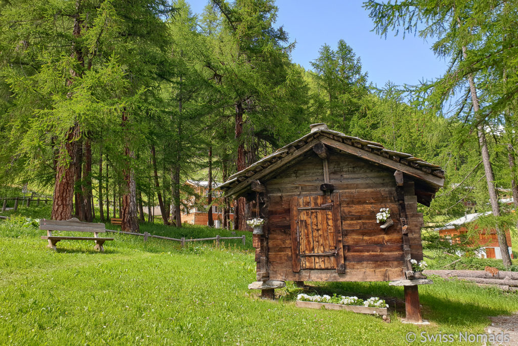 Gädi in Saas-Fee