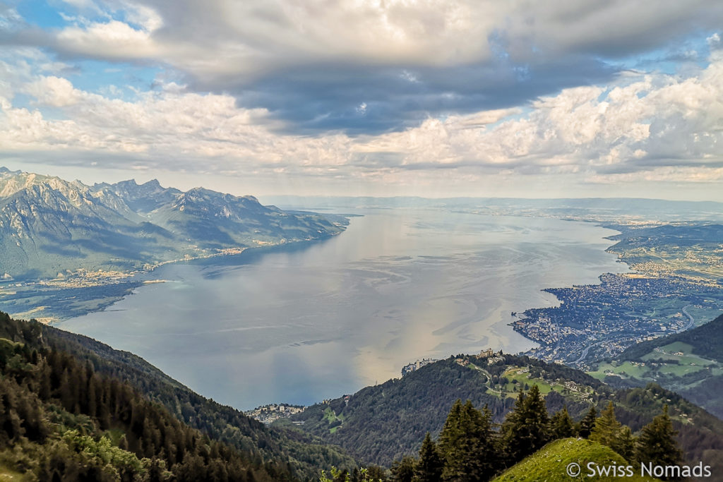 Aussicht auf den Genfersee vom Rochers de Naye