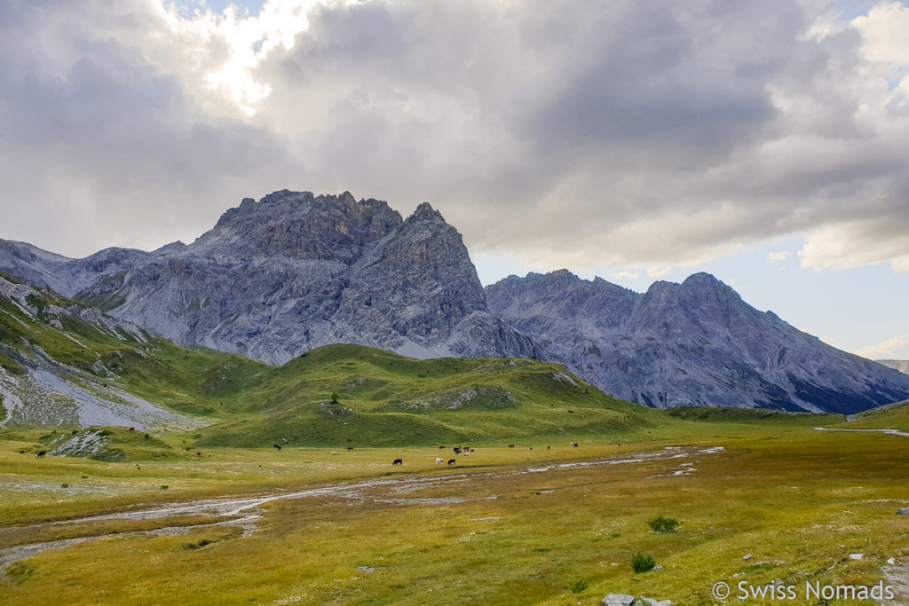 Val Mora im Engadin