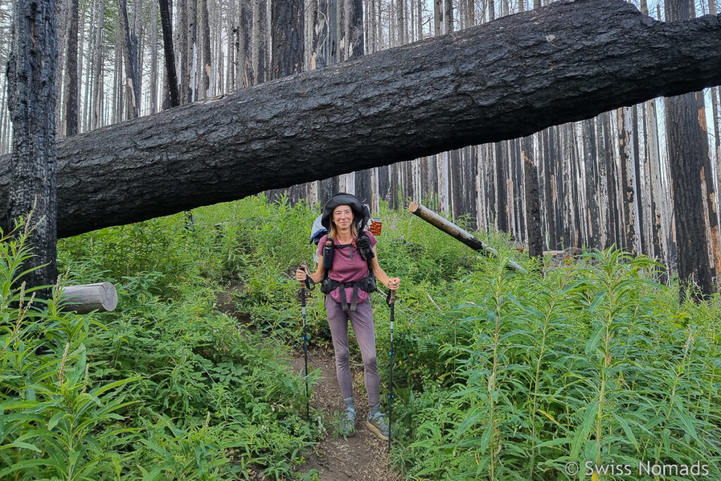 Hindernislauf auf dem Pacific Crest Trail