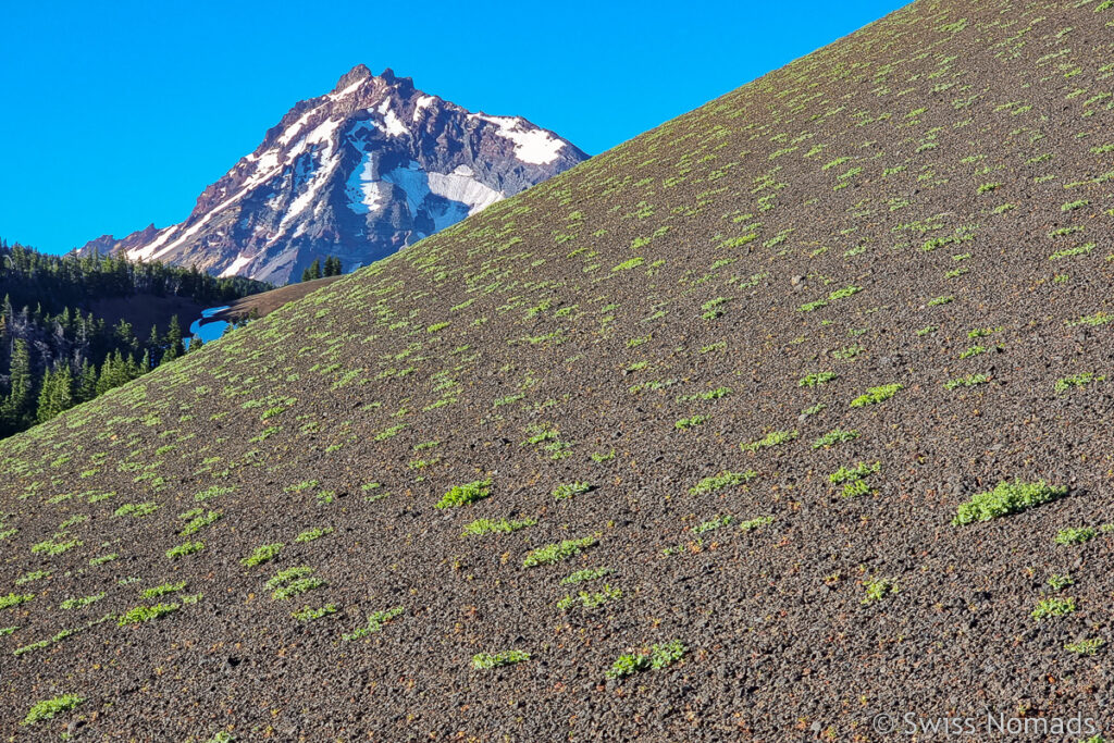 Karges Lavafeld in Oregon