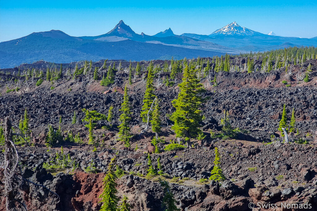 Lavafelder in Oregon