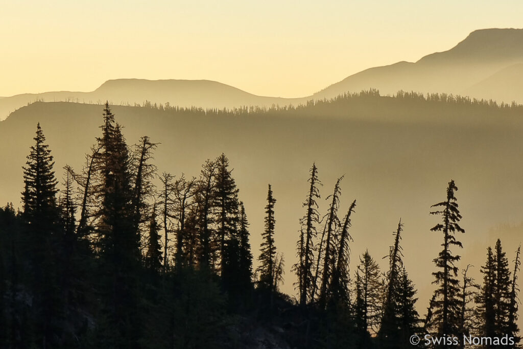 Morgenstimmung auf dem PCT in Washington