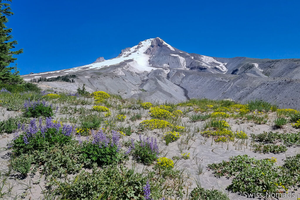 Mount Hood in Oregon